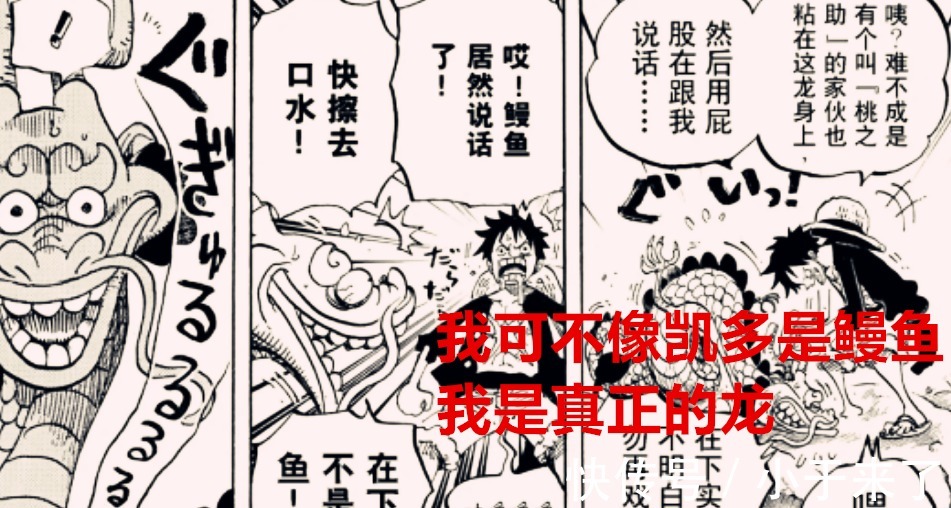 贝加庞克|海贼王1023话:桃之助是真龙,凯多才是冒牌货,索隆是烬的克星