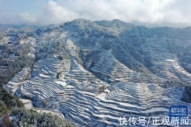 何家岩村|白雪却嫌春色晚，故穿庭树作飞花