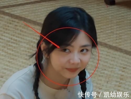 任嘉倫上《向往》變身“懟王”,句句扎心譚松韻,氣得她成表情包