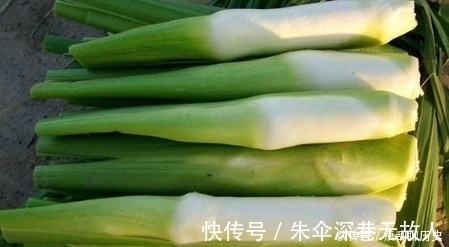 蔬菜|买茭白,“扁的”“圆的”选哪种?掌握3要3不要,个个鲜嫩营养足