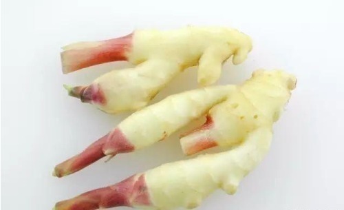 最好吃的鱼,营养是甲鱼8倍,16块钱一斤,比肉便宜无人买