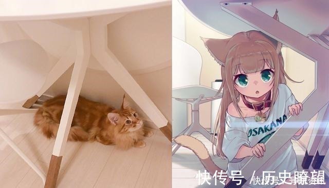 兽耳娘|想让猫咪变成人变是不可能的,但画师可以将其画出来!