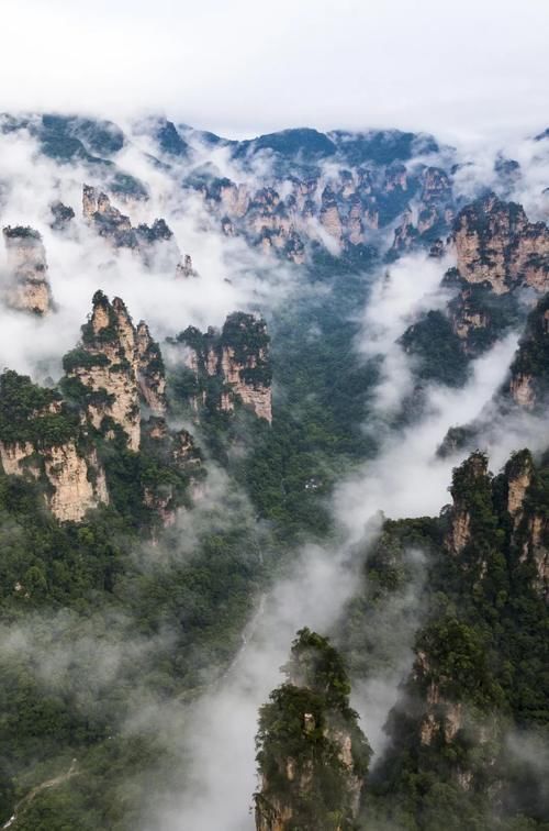 一场春雨，将张家界武陵源泼成了一幅幅山水画