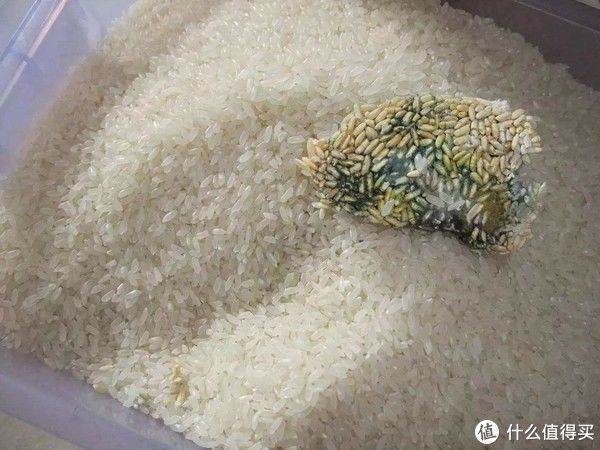 建议大家：大扫除时，这20件东西能扔就扔，真的不用心疼