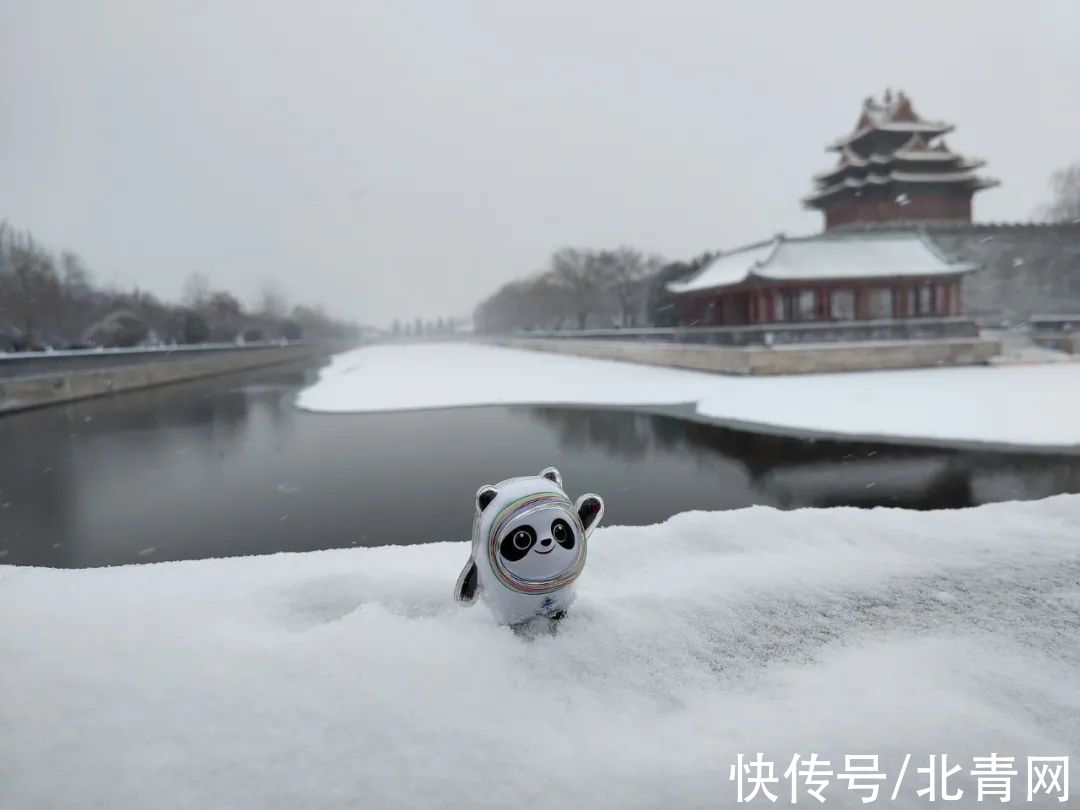 双奥之城|虎年初雪，故宫绝美雪景上新了