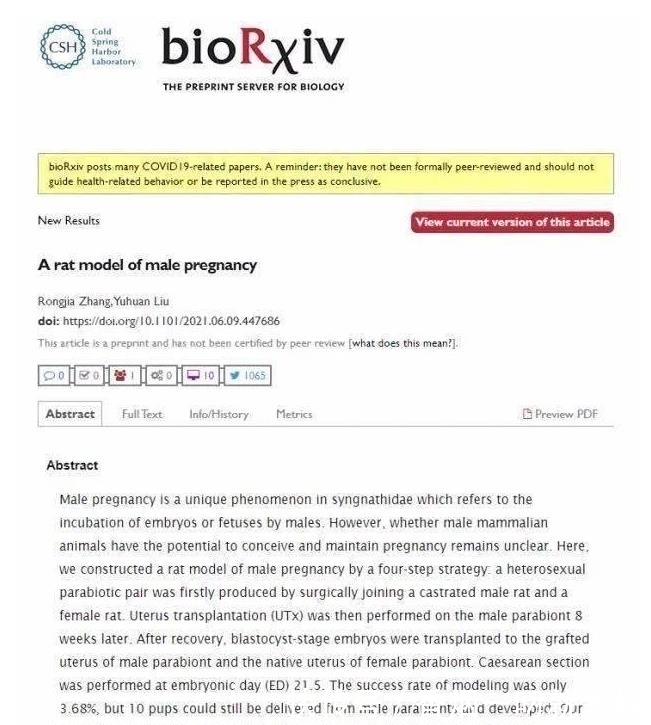 生崽|公鼠成功怀孕生崽,男人生孩子还远吗?