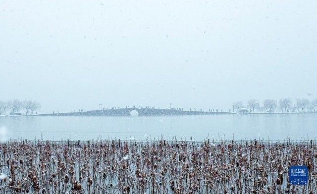 赏雪|杭州：雪落西湖