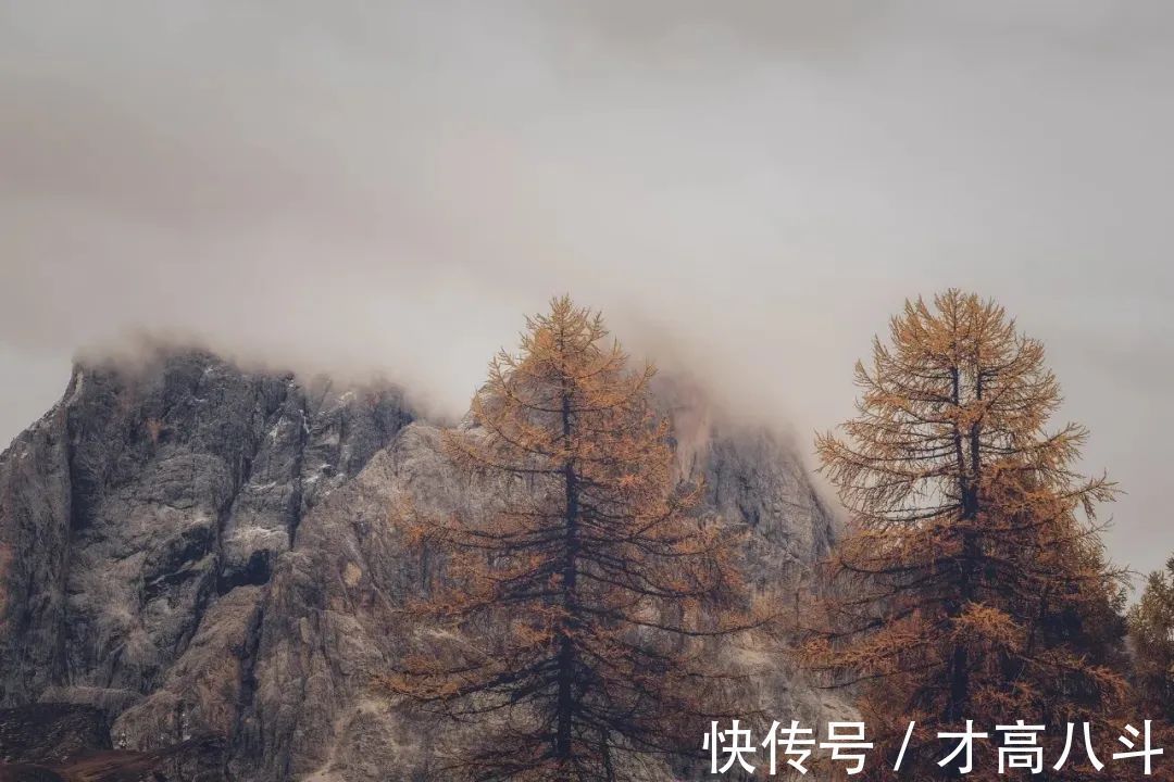 木柴&敬天,敬地,敬自己!