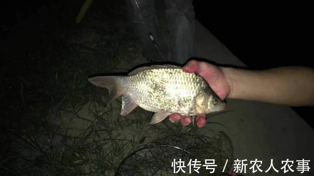湖北一男子冒着寒冷通宵夜钓,妻子发现鱼获不对劲,网友:别乱想