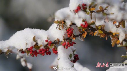 秋雪|宛若童话世界！一场秋雪惊艳马蹄寺风景区