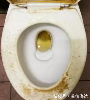 卫生间|闺蜜家从不刷马桶,却没有发黄和臭味,偷学发现用一招就能搞定