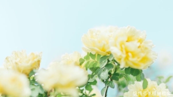 遇到小人不要怕,就学会这4招,再狡猾小人也不怕,让他服服帖帖