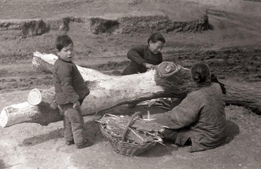 谋权篡位|一人送给大臣：枣、梨、姜、芥四物，大臣见到说：这个人要造反！