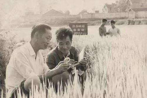 她花一辈子接生5万名婴儿,自己却无儿无女,20岁立的誓言成了真