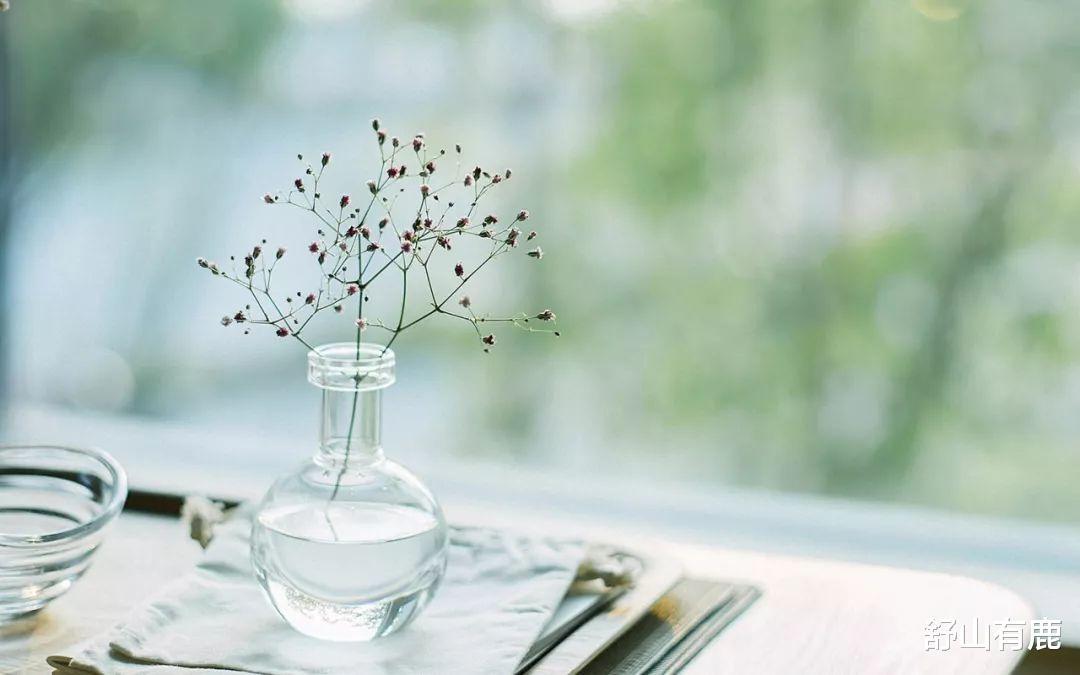 心态|人到五十,调整心态,最有福气的生活方式,莫过于这两个字