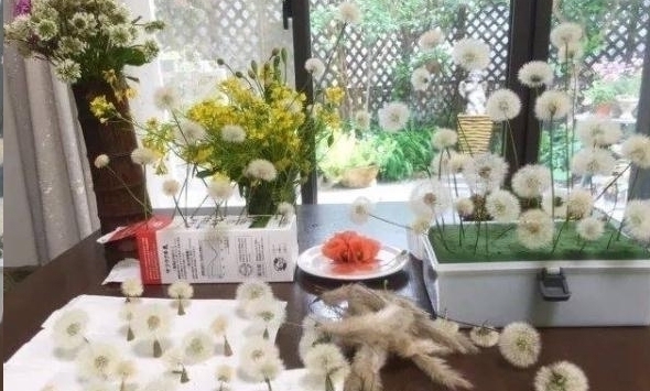 手艺&日本女网友凭借折纸裁剪手艺,将花草变成治愈人心的作品走红网络