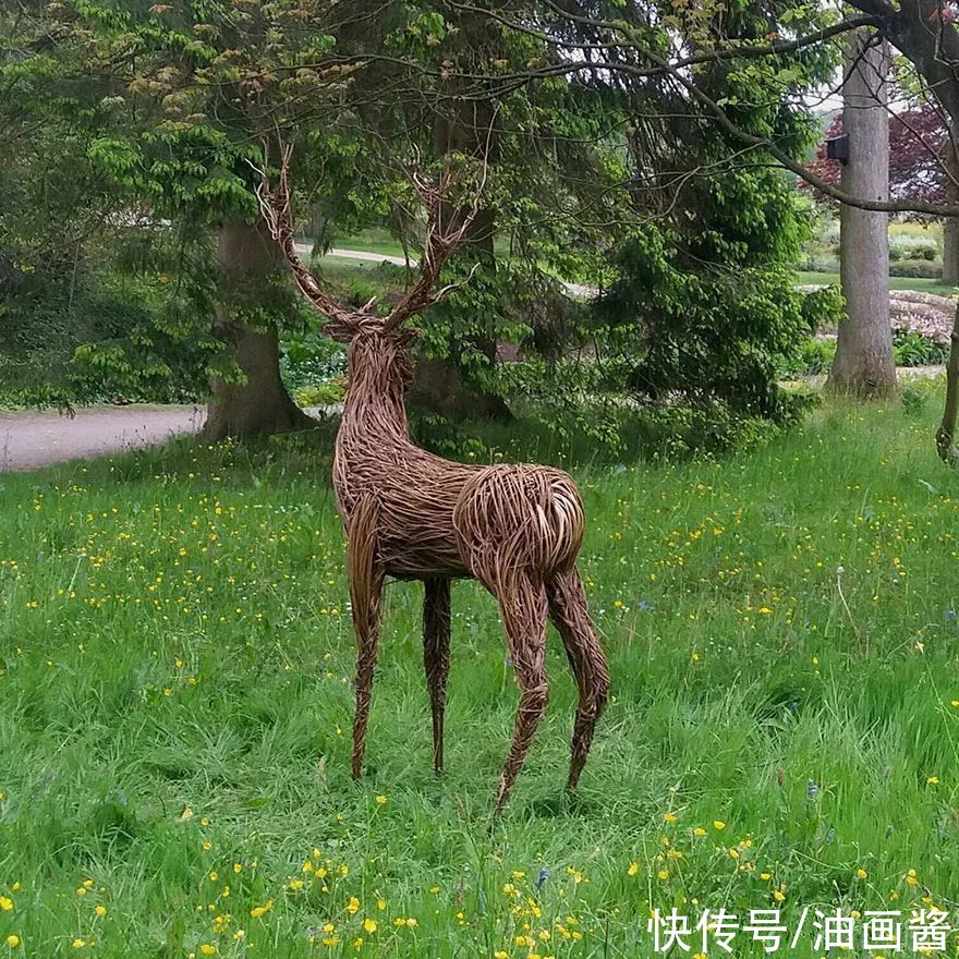  充满|她靠捡树枝，捡成艺术家，用树枝编织出来的作品充满自然气息