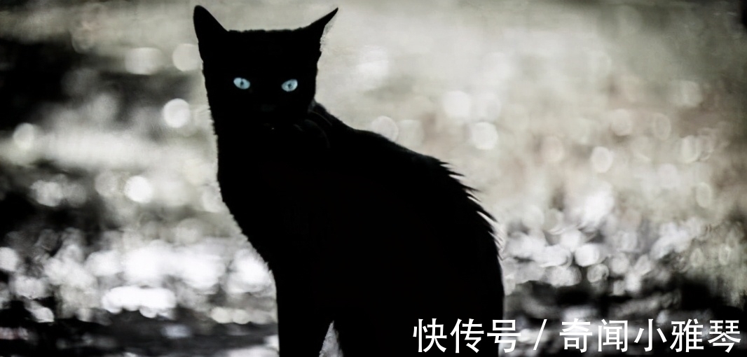 肥胖|16条冷知识，或许看起来不太合理，但却真实地存在于世界上