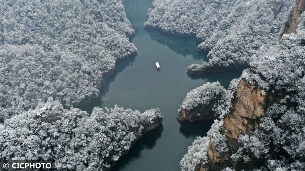 陈泉霖|冬景如画