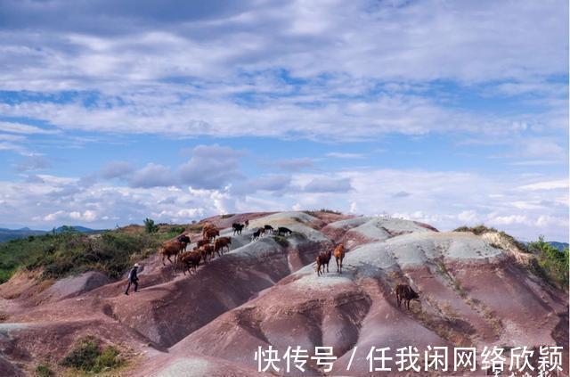 曲靖|云吧｜曲靖马龙张安屯“丹霞”地貌下藏着亿年前鱼化石