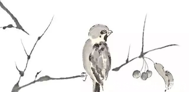 鬼谷子#鬼谷子:老实人混得不好,是因为不懂这5个套路,学了早晚混出头