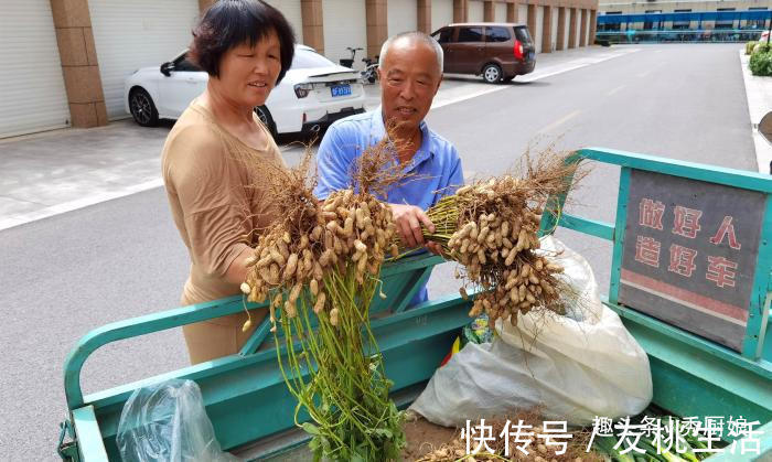 花生|煮花生时,万不可直接下锅煮,多加2步,花生米香糯入味又省火