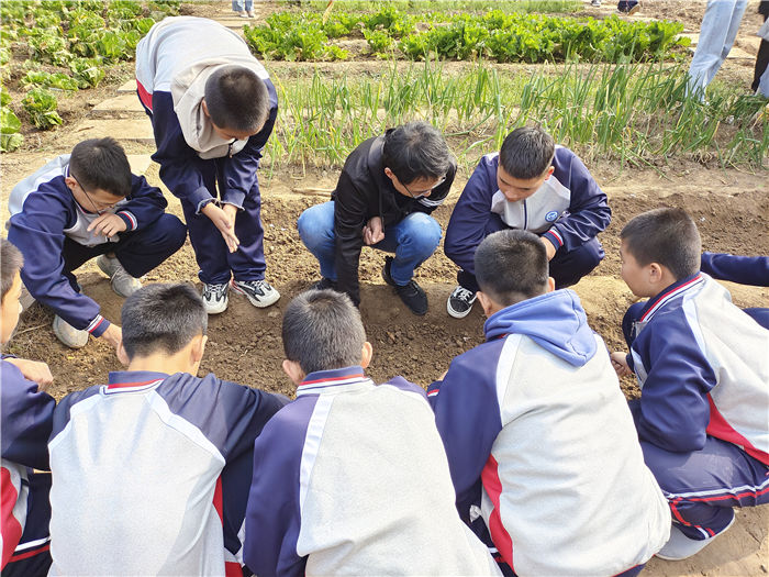 第二实验学校|“要我劳动”变“我要劳动” 商河县第二实验学校劳动教育纪实