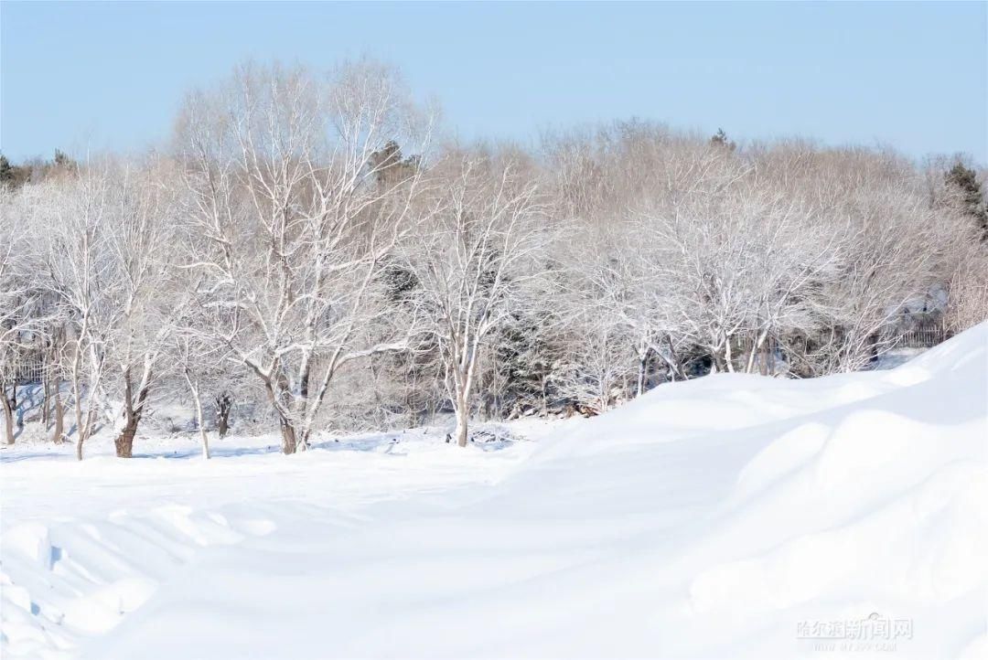  内含|初窥雪博会丨今年的主塑“太厉害”！内含剧透