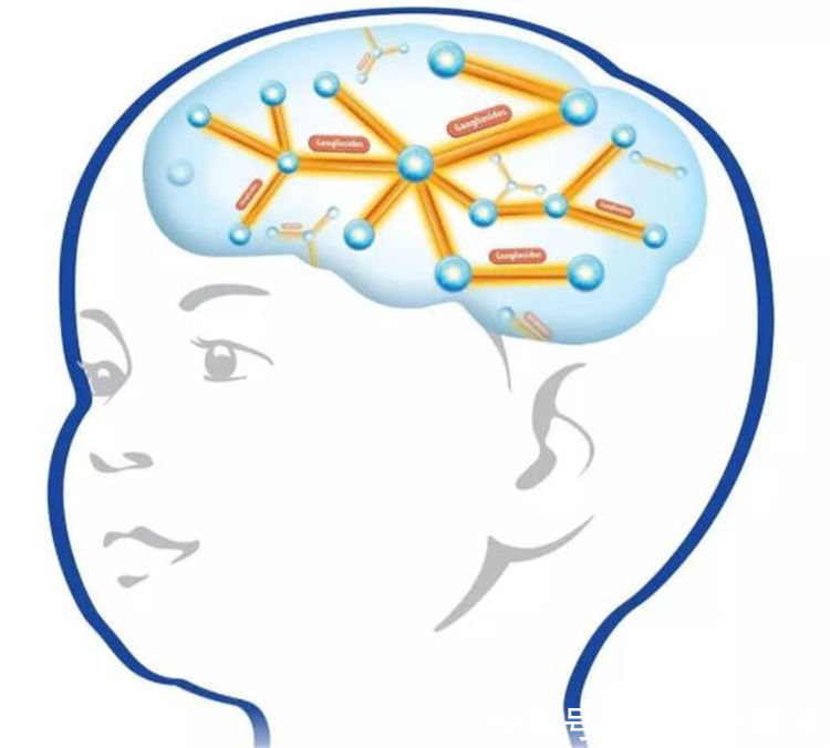 记忆|为啥孩子会失去3岁前的“记忆”?医生一般不说,父母心里要有底