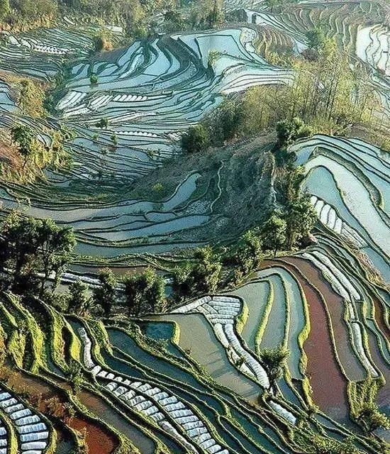 传来|太美了,世界照片今天终于传来,罕见至极,一睹为快