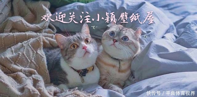 神仙·头像丨坐中亦有江南客,莫向春风唱鹧鸪