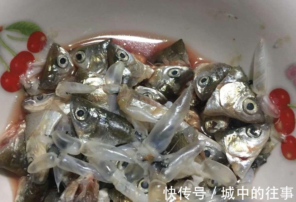 吴大爷养“月季”,三月喂点“零食”,花朵嗖嗖冒,1年开不停!