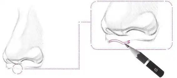 鼻孔@零基础素描教程：分步骤讲解34侧面鼻子画法，简单易学，快临摹