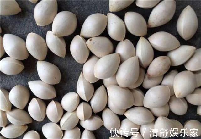 马兰头|女性推荐常吃3种食物,可消除色斑,润泽肌肤,美容养颜