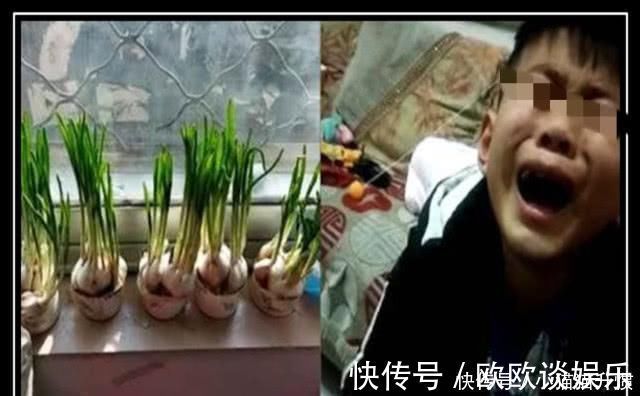 实践性|母亲把小孩寒假作业炒变成菜,蒜头曰记被强制结束,小孩嚎啕大哭