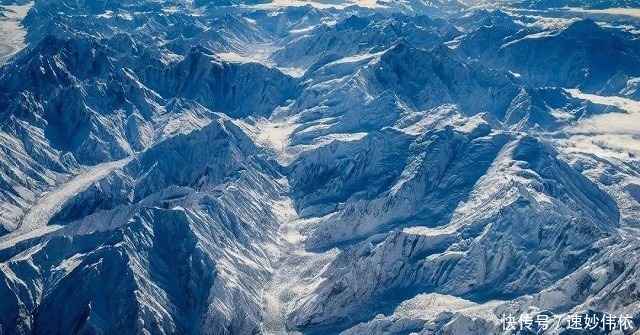 喜马拉雅山采蜜人:雪山蜜只供尼泊尔皇室享用,5倍价格都不卖