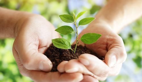 医生|人人怕癌症，但防癌并不难！医生：记住4句话，想患癌都难