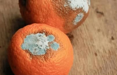 食用|最伤身的“水果”被发现，请停止食用，有些人当成宝，整袋往家扛