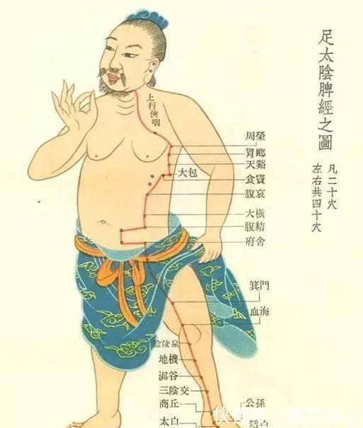 功能失调|肥胖是你这里不通，瘦大腿，瘦肚子，瘦背其实并不难！