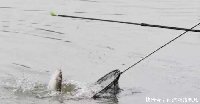 不少|狂拉后却遭到“停口”?老渔民说出实情,原来不少钓鱼人都做错了