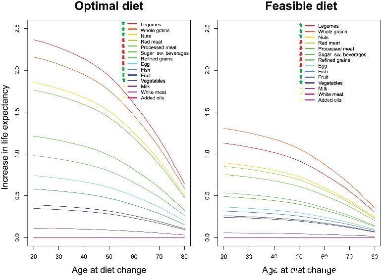 延寿|最新食谱延寿13.7年，80岁开始也不晚！附寿命计算器