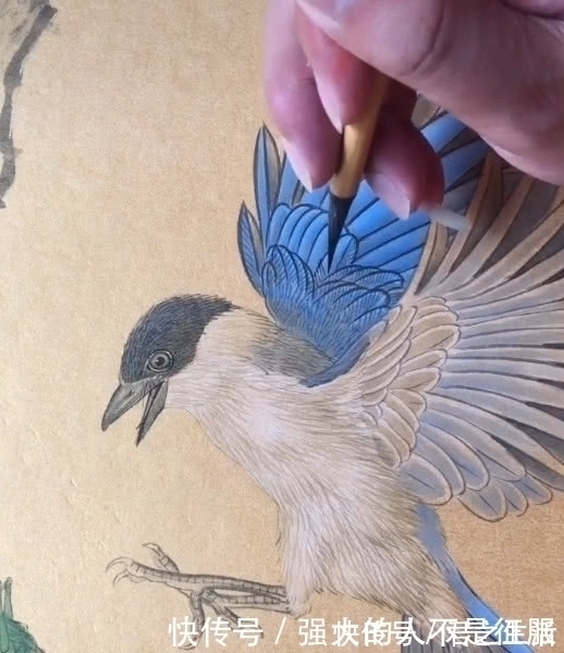 画界@美术生画喜鹊,看手法就感觉不一般,作品完成后:画界大仙!