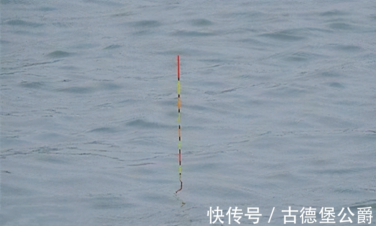 钓鱼|搞明白浮漂产生动作的原因,就知道怎么钓鱼了