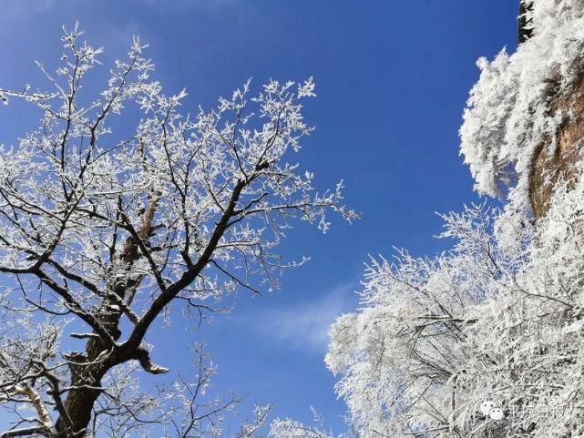 新鲜出炉！崆峒山雪景美爆了~