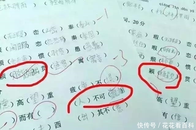 班主任|小学六年级班主任改出试卷 自称又修炼成功一级