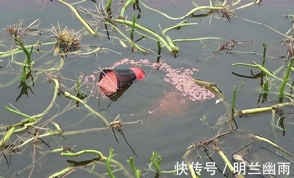 冬季钓鲫鱼,打窝不见发窝?那是不会打窝,这样打窝聚鱼效果翻倍