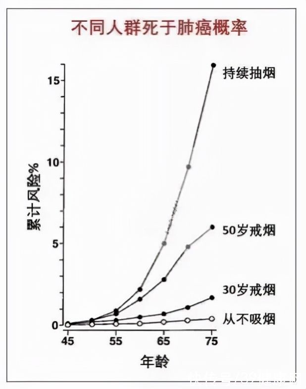 烟草|100个烟民中，最终会有多少人死于肺癌？研究结果可能让你意外