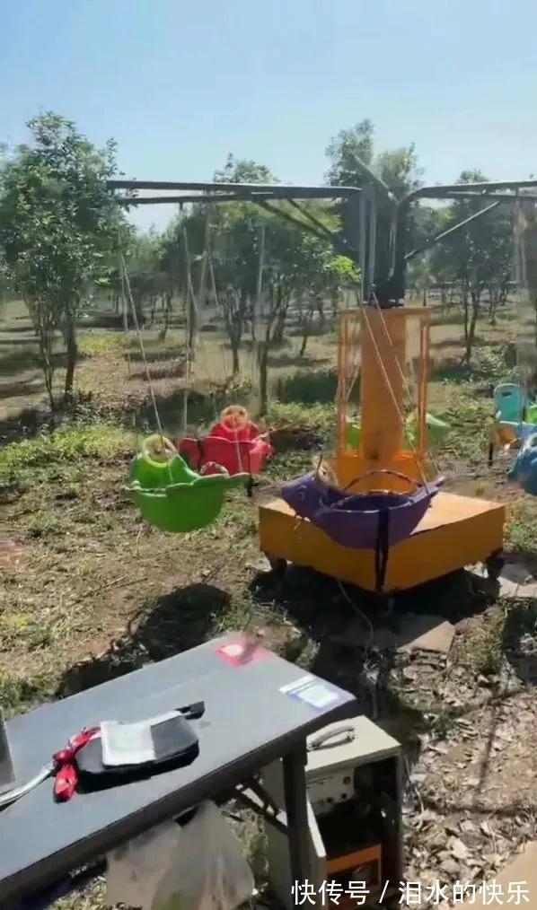 |今日笑话:下雨天出门的狗狗