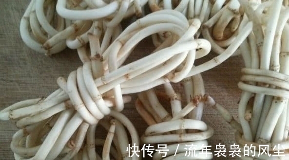 房前屋后|一种野草天生带“臭味”,它有人喜也有人厌,能吃还有珍贵大用处