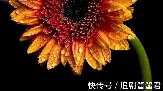 金牛|从7月20日开始，不舍旧情，双手紧握，依偎在侧，甜蜜相伴